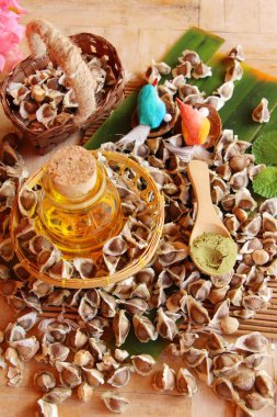 Arka plan ağaç Moringa oleifera petrol ve tohumlar üzerinde