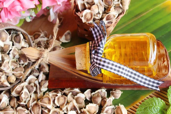 Moringa oleifera oil and seeds on wood background — Stock Photo, Image