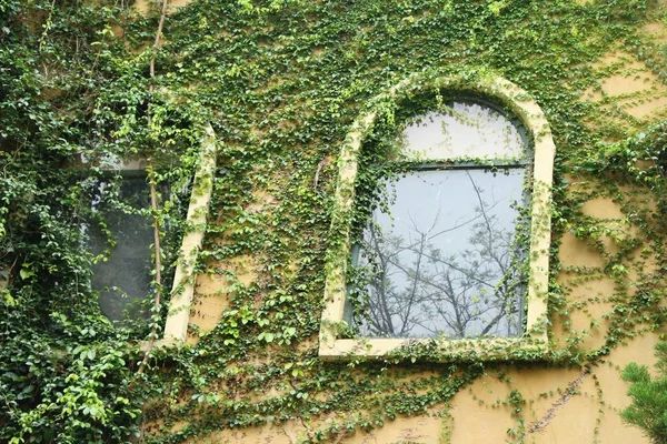 Window and brick wall is vintage style — Stock Photo, Image