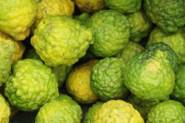 Taze organik bergamot bitki içinde belgili tanımlık çarşı