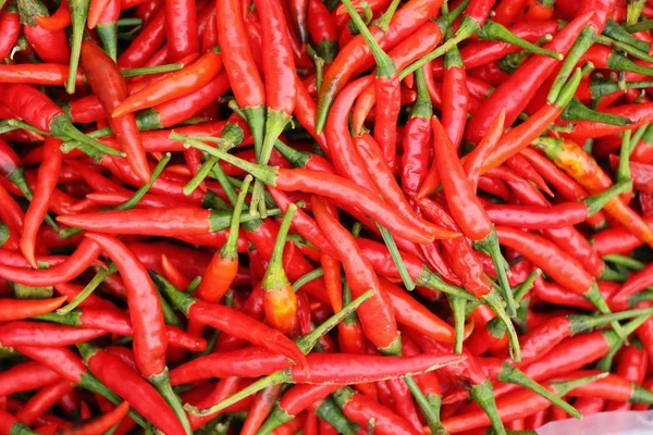 Fresh chilli for cooking in the market — Stock Photo, Image