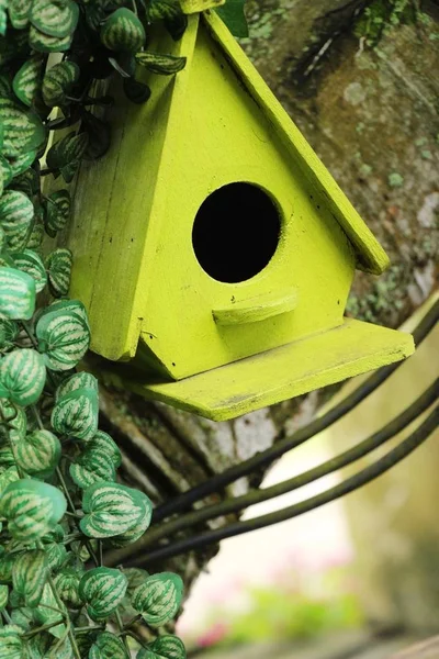 Casa de pássaro de madeira com a natureza — Fotografia de Stock