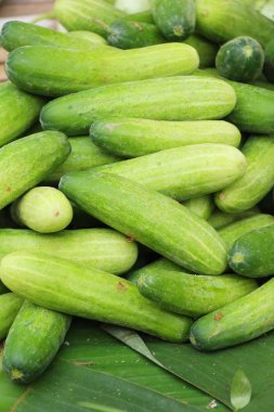 Belgili tanımlık çarşı içinde yemek pişirmek için taze salatalık