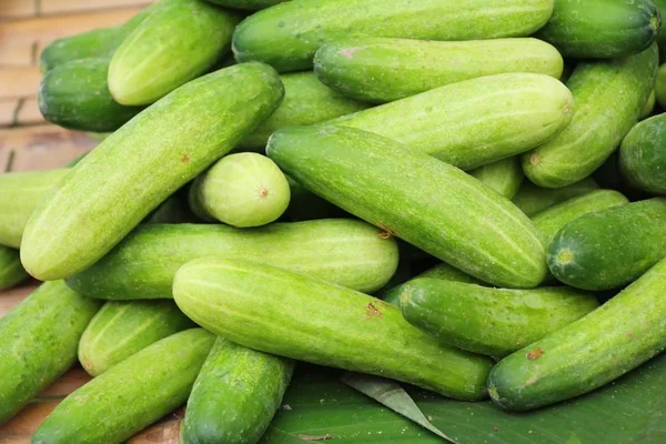 Belgili tanımlık çarşı içinde yemek pişirmek için taze salatalık