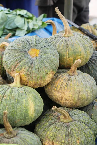 Citrouille fraîche pour cuisiner sur le marché — Photo