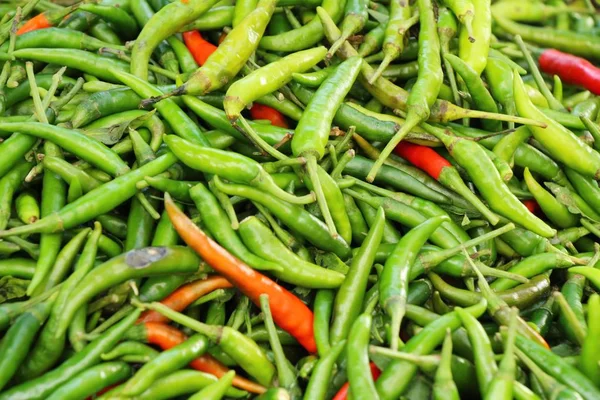 Fresh chilli for cooking in the market — Stock Photo, Image