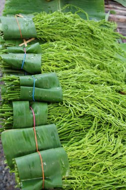 Akasya pennata belgili tanımlık çarşı içinde yemek pişirmek için