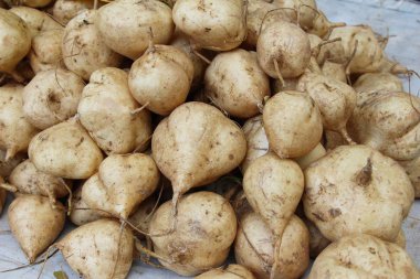 Yam fasulye sokak gıda lezzetlidir