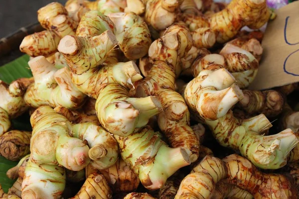 Fresh galangal for cooking in the market — Stock Photo, Image