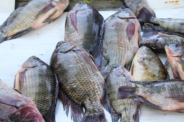 新鲜的鱼市场的烹饪 — 图库照片