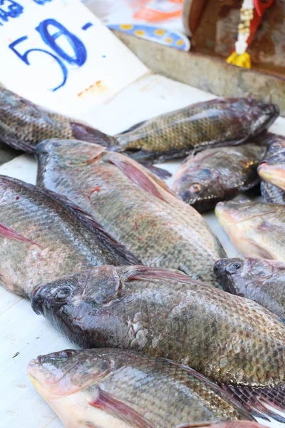 Peixe fresco para cozinhar no mercado — Fotografia de Stock