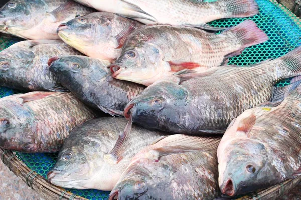 Verse vis voor het koken op de markt — Stockfoto