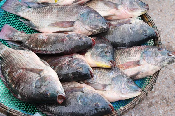 Pescado fresco para cocinar en el mercado —  Fotos de Stock