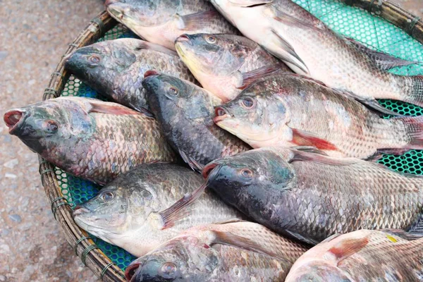 Pescado fresco para cocinar en el mercado —  Fotos de Stock