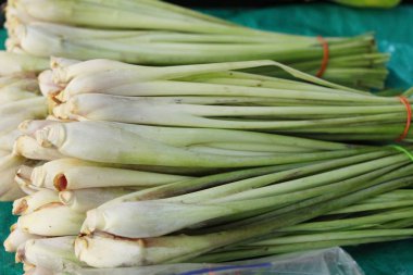 Taze limon otu içinde belgili tanımlık çarşı