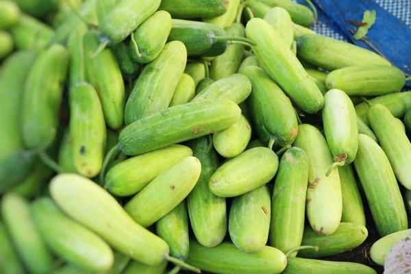 Pepinos frescos para cocinar en el mercado —  Fotos de Stock