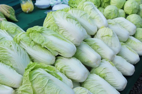 Col china fresca para cocinar en el mercado — Foto de Stock
