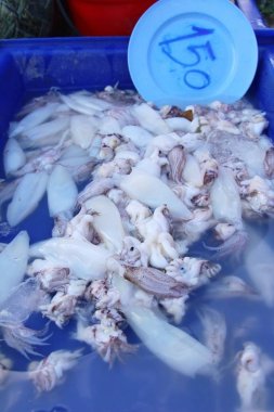 belgili tanımlık çarşı içinde yemek pişirmek için taze kalamar