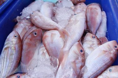 Belgili tanımlık çarşı içinde yemek pişirmek için taze balık