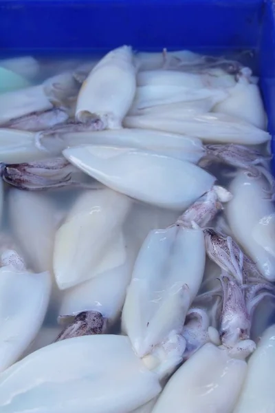 Calamares frescos para cocinar en el mercado — Foto de Stock