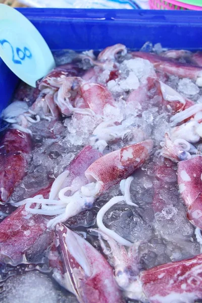 Čerstvé chobotnice pro vaření na trhu — Stock fotografie