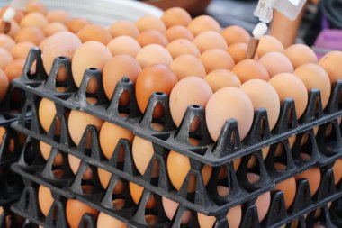 Piyasada panelinde yumurta