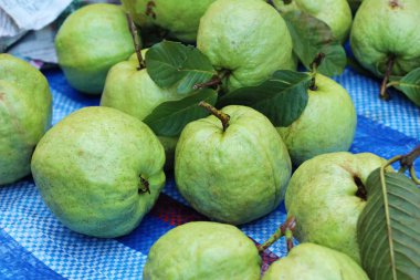 Guava meyve içinde belgili tanımlık çarşı lezzetlidir