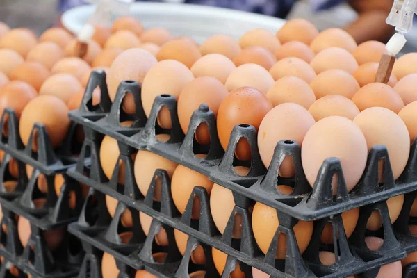 시장에서 패널에 달걀 — 스톡 사진