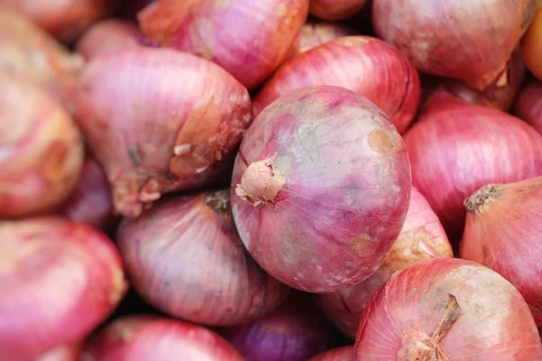 Chalotes para cocinar en el mercado — Foto de Stock