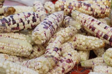 Belgili tanımlık çarşı içinde yemek pişirmek için taze Mısır