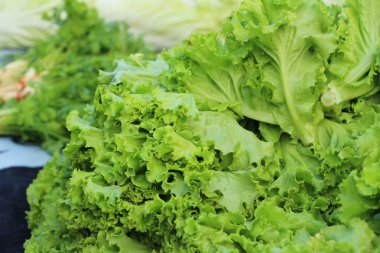 Sokak gıda yemek pişirmek için taze marul