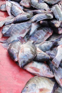 Belgili tanımlık çarşı içinde yemek pişirmek için taze balık