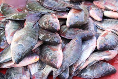 Belgili tanımlık çarşı içinde yemek pişirmek için taze balık