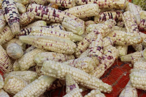 Свежая кукуруза для приготовления пищи на рынке — стоковое фото