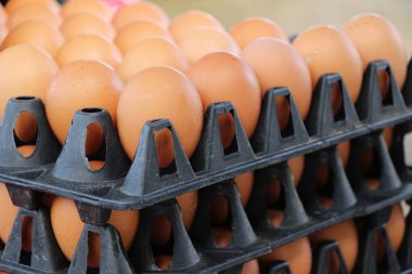 Piyasada panelinde yumurta