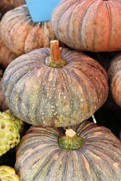 Citrouille fraîche pour cuisiner sur le marché — Photo