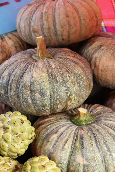 Citrouille fraîche pour cuisiner sur le marché — Photo