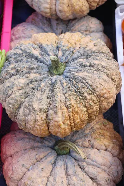 Citrouille fraîche pour cuisiner sur le marché — Photo