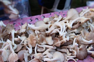 Belgili tanımlık çarşı içinde yemek pişirmek için taze mantar