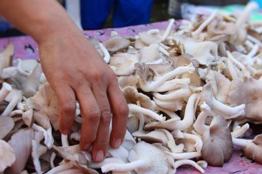 Belgili tanımlık çarşı içinde yemek pişirmek için taze mantar