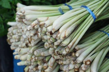 Taze limon otu içinde belgili tanımlık çarşı