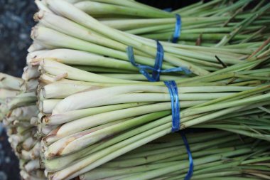 Taze limon otu içinde belgili tanımlık çarşı