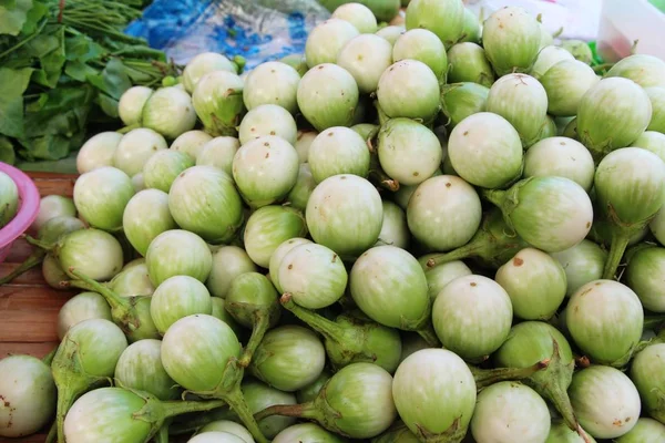 Fresh eggplant green organic in the market — Stock Photo, Image