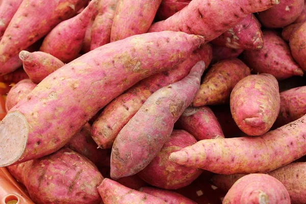 Taze yam pişirme için piyasada