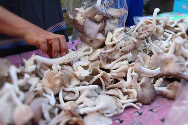 Belgili tanımlık çarşı içinde yemek pişirmek için taze mantar