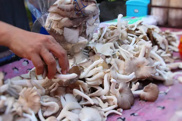 Funghi freschi per cucinare nel mercato — Foto Stock