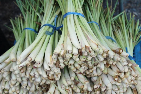 Hierba fresca de limón en el mercado — Foto de Stock