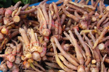 Belgili tanımlık çarşı içinde yemek pişirmek için zencefil kökü