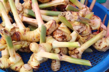 Belgili tanımlık çarşı içinde yemek pişirmek için taze havlıcan
