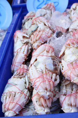 Sokak gıda yemek pişirmek için buz üzerinde Yengeç